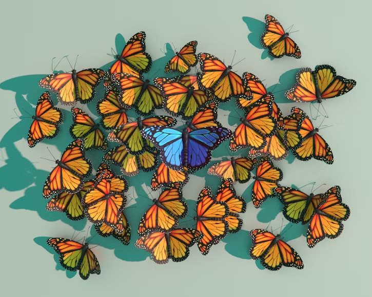 Butterfly garden with colorful flowers and butterflies